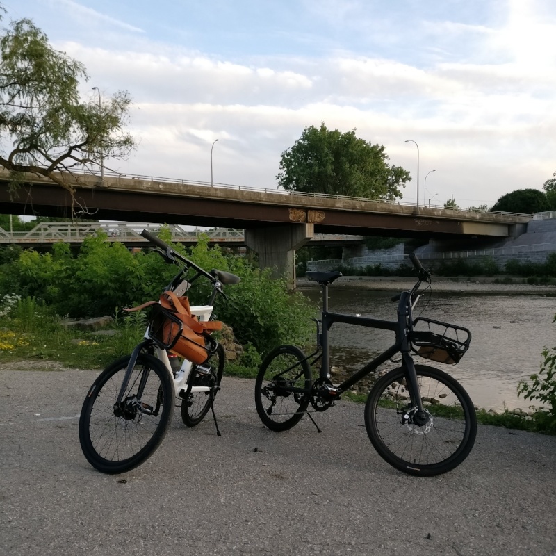 Rental bikes by the Thames at Harris Park (London, Ontario).