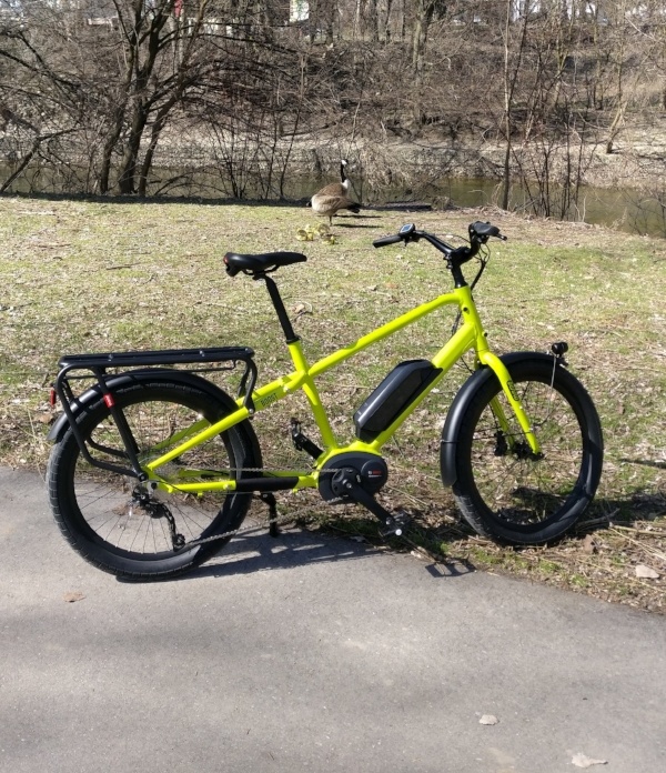 A lime green Benno E-bike by the Thames River (London, Ontario), a Canada goose behind it.