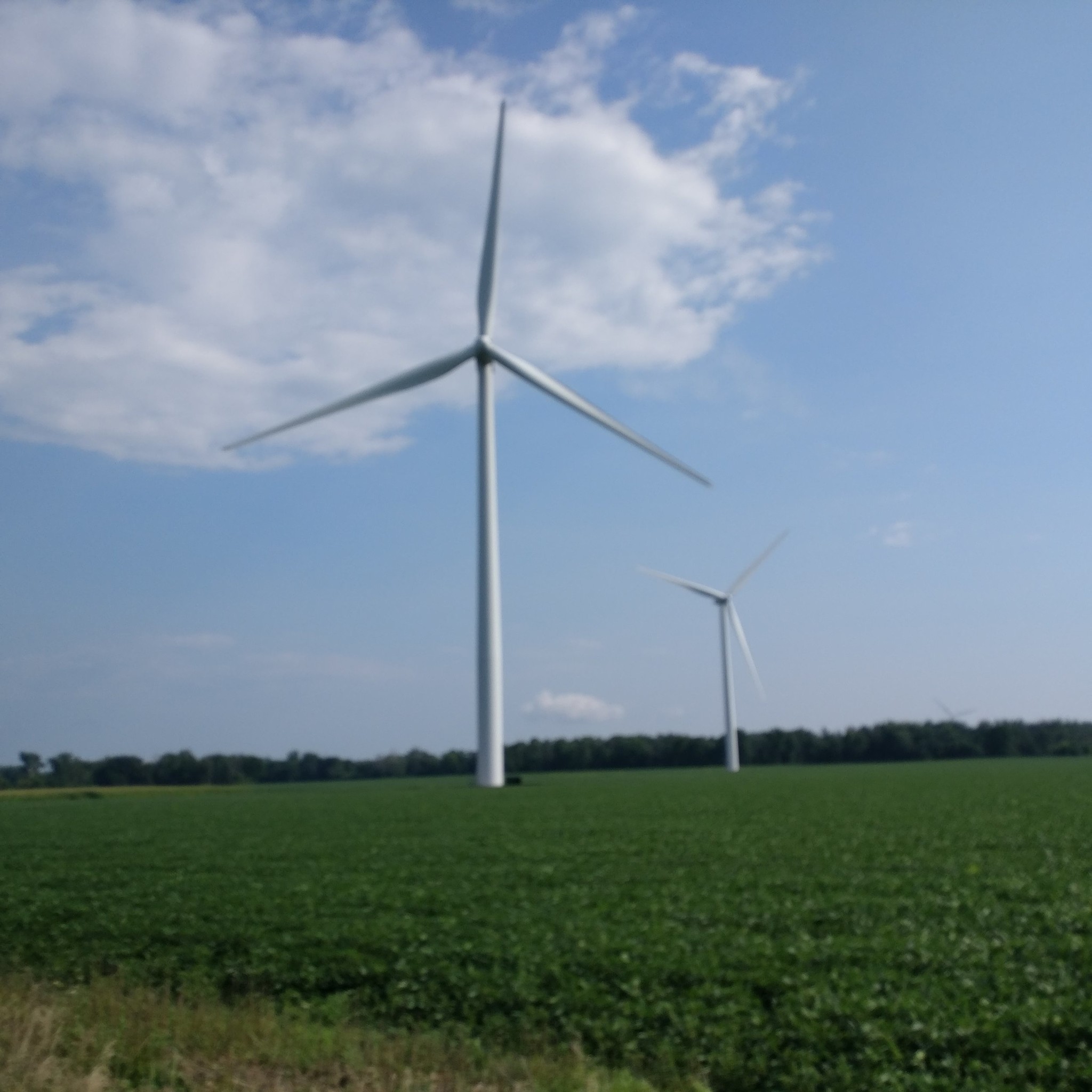 electricity generating windmills on a green field.