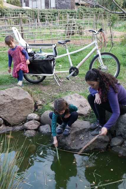 Two kids and their parent explore a small pond, the community garden behind them, their Xtracycle longtail between.