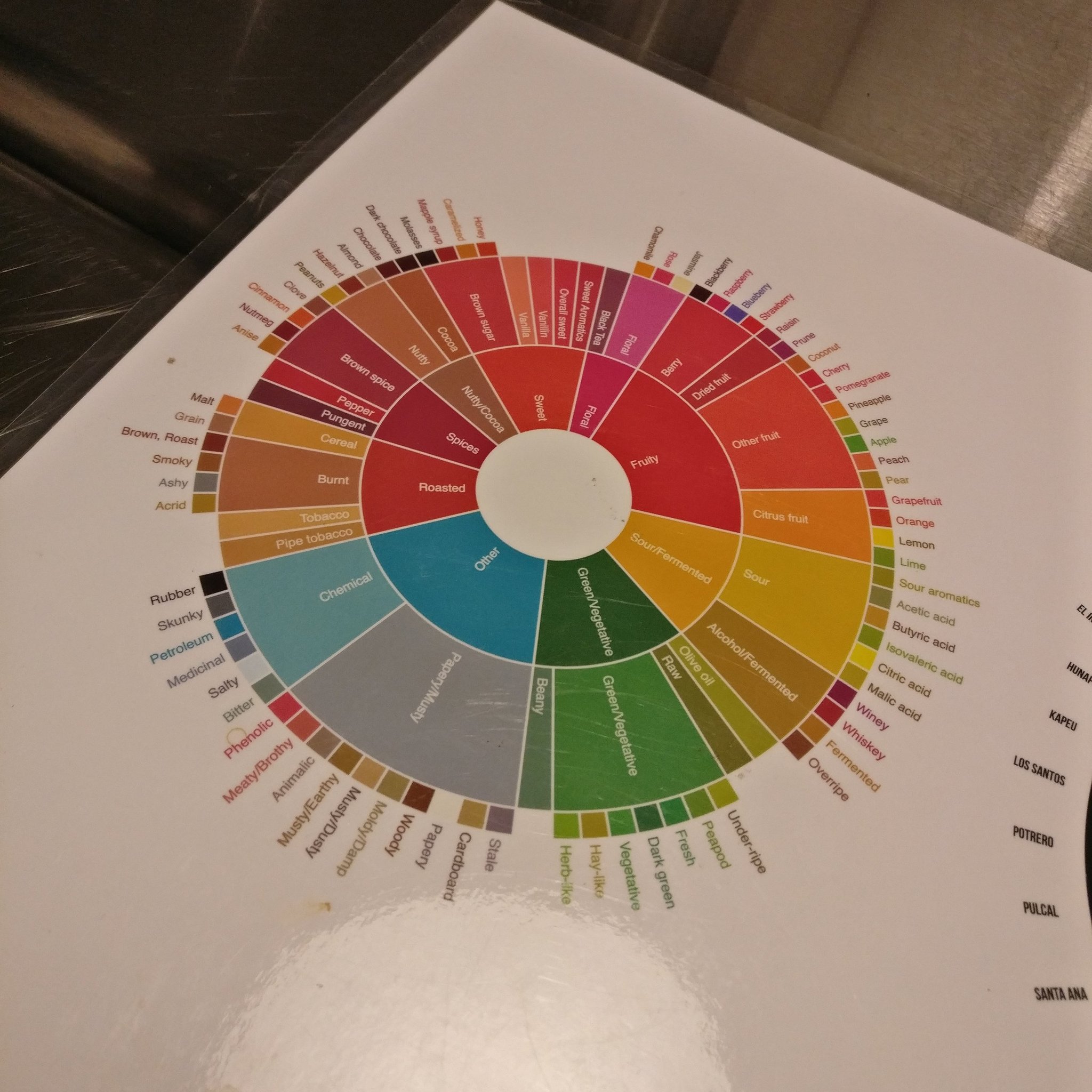 A coffee tasting chart of different notes you can experience while tasting.