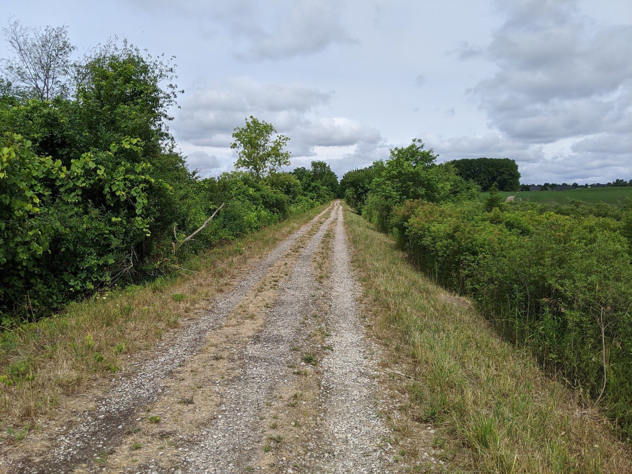 A gravel trail stretches ahead, trees and fields on either side.