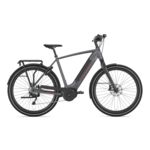 Gazelle Ultimate T10 (2022)