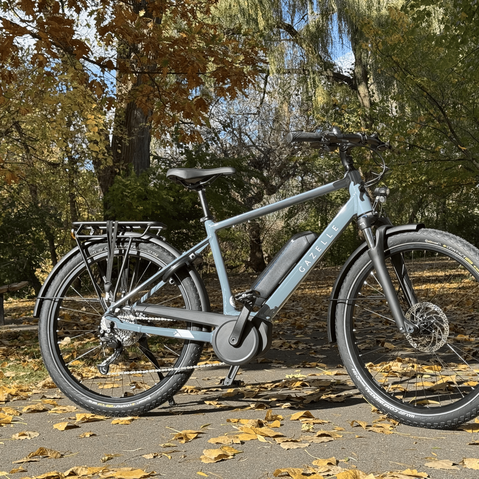 Gazelle Gazelle Medeo T9 High