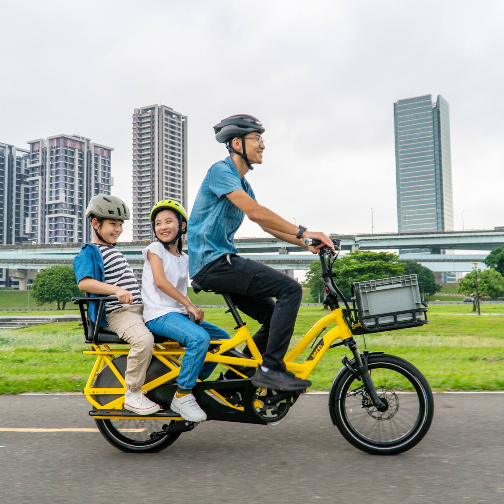 Tern Tern Captain's Chair