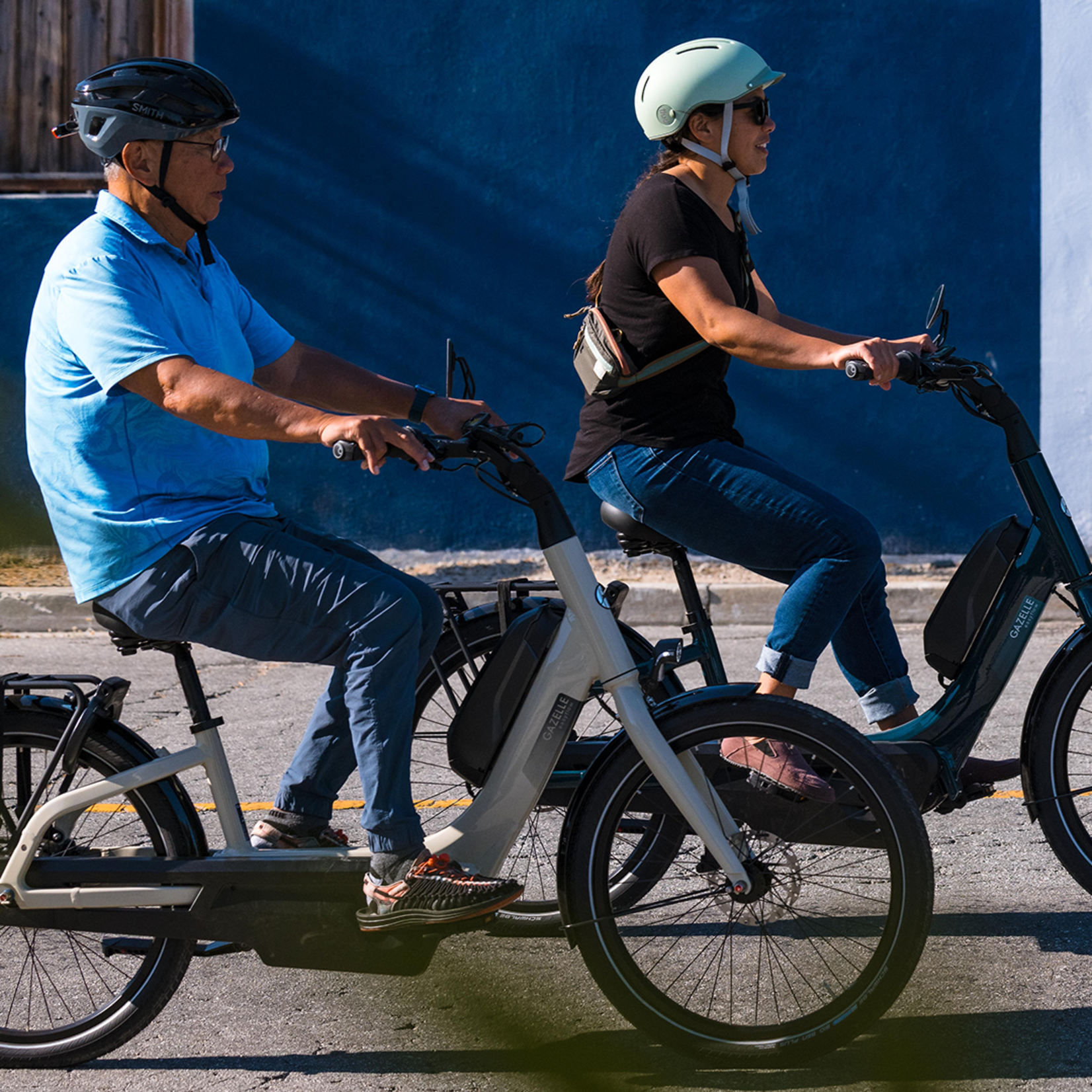 Gazelle Gazelle EasyFlow