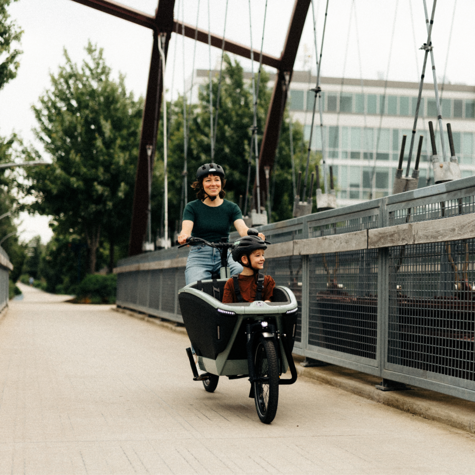 Urban Arrow Urban Arrow Family Next Pro