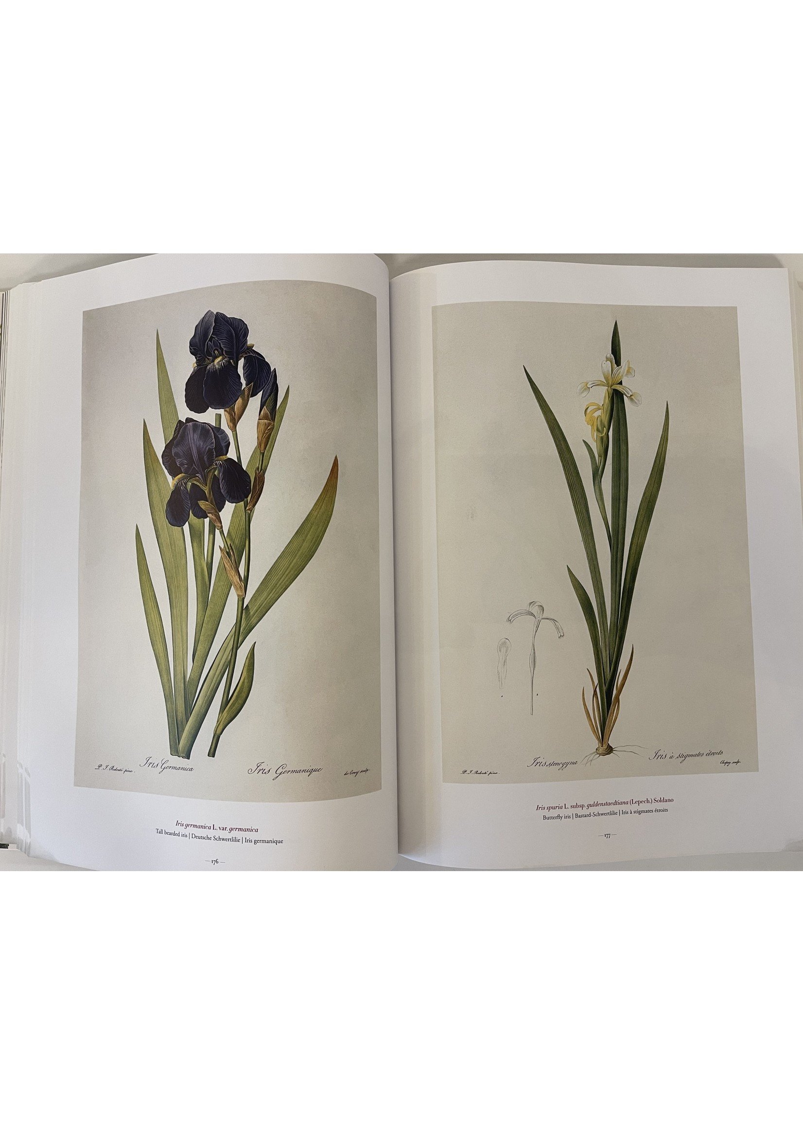 Taschen Books Redoute - The Book of Flowers  XL