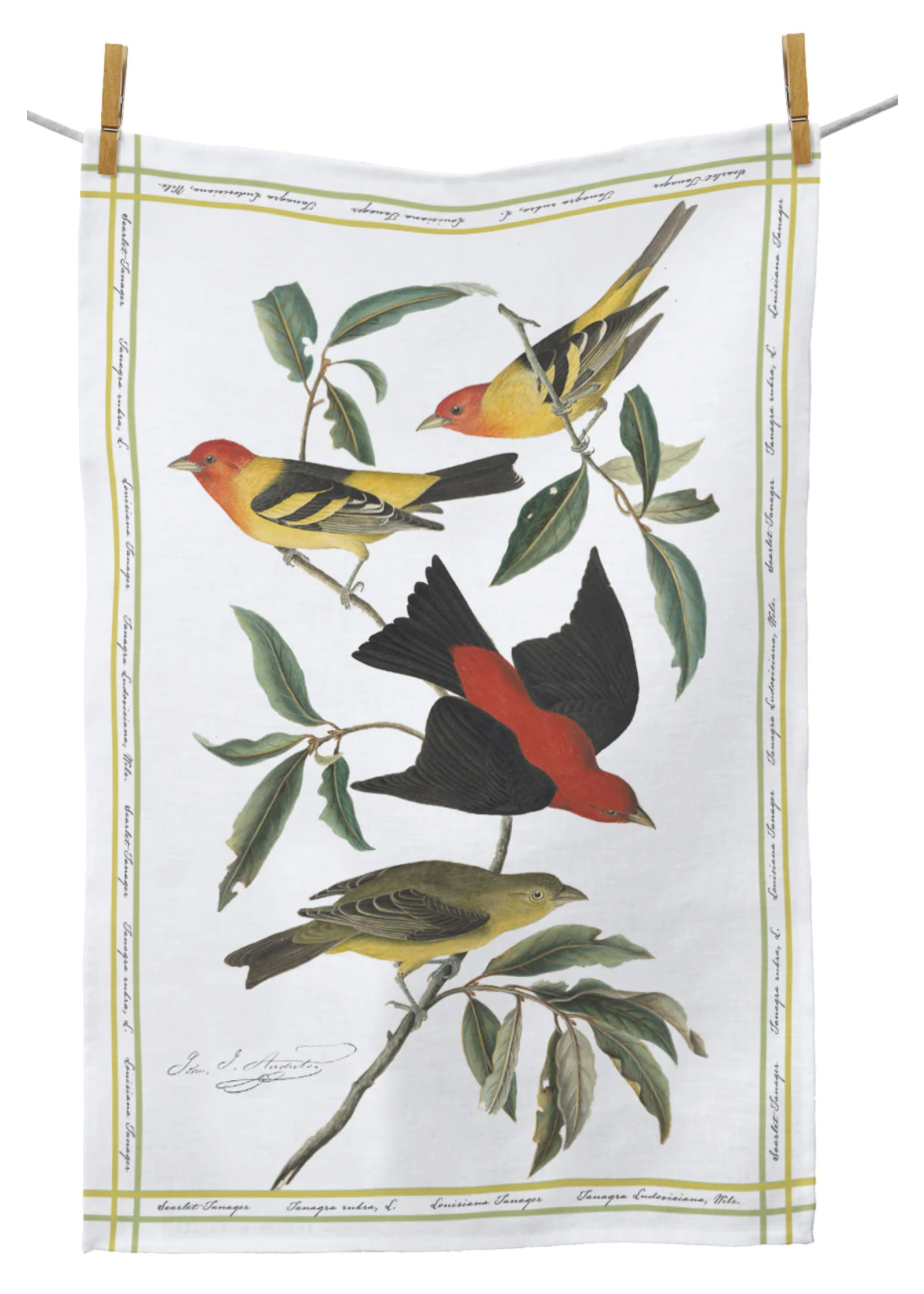 RainCaper Audubon Tanager Bird Tea Towel