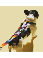 Zeedog Zee Dog H - Harness - Prisma - Medium