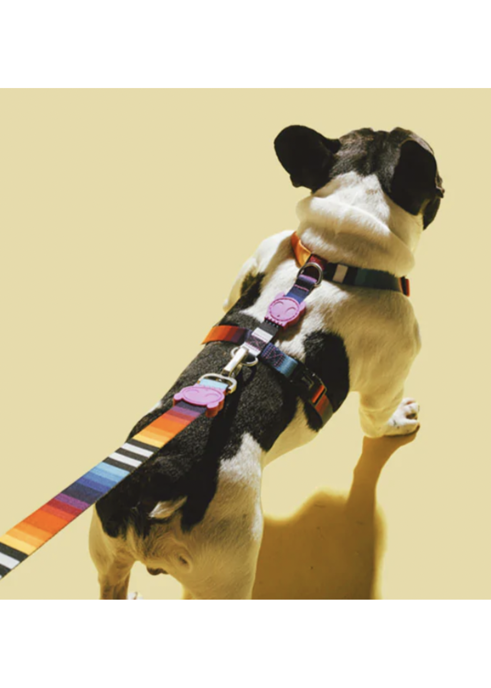 Zeedog Zee Dog H - Harness - Prisma - Medium