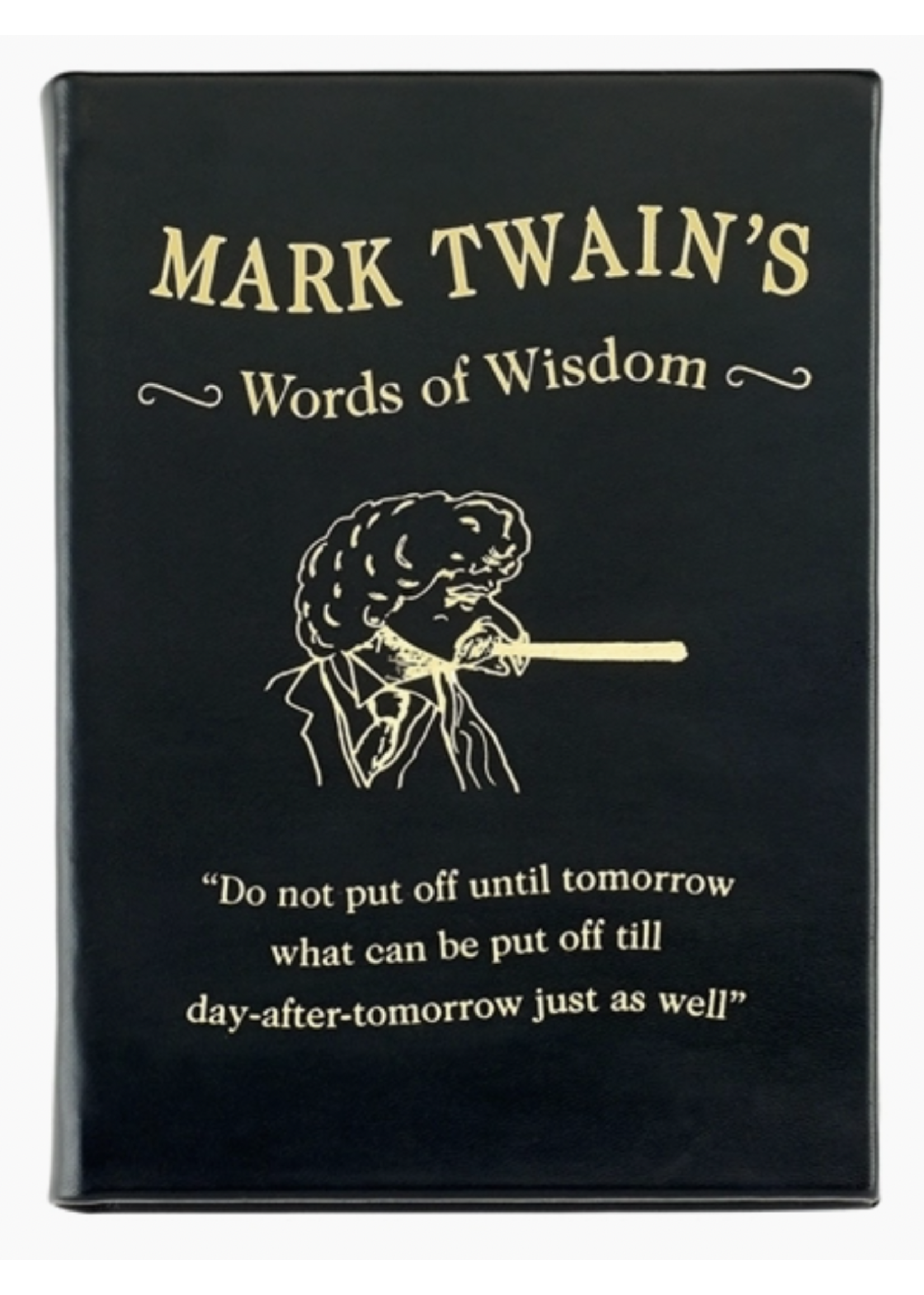 Graphic Image Mark Twain - Words of Wisdom