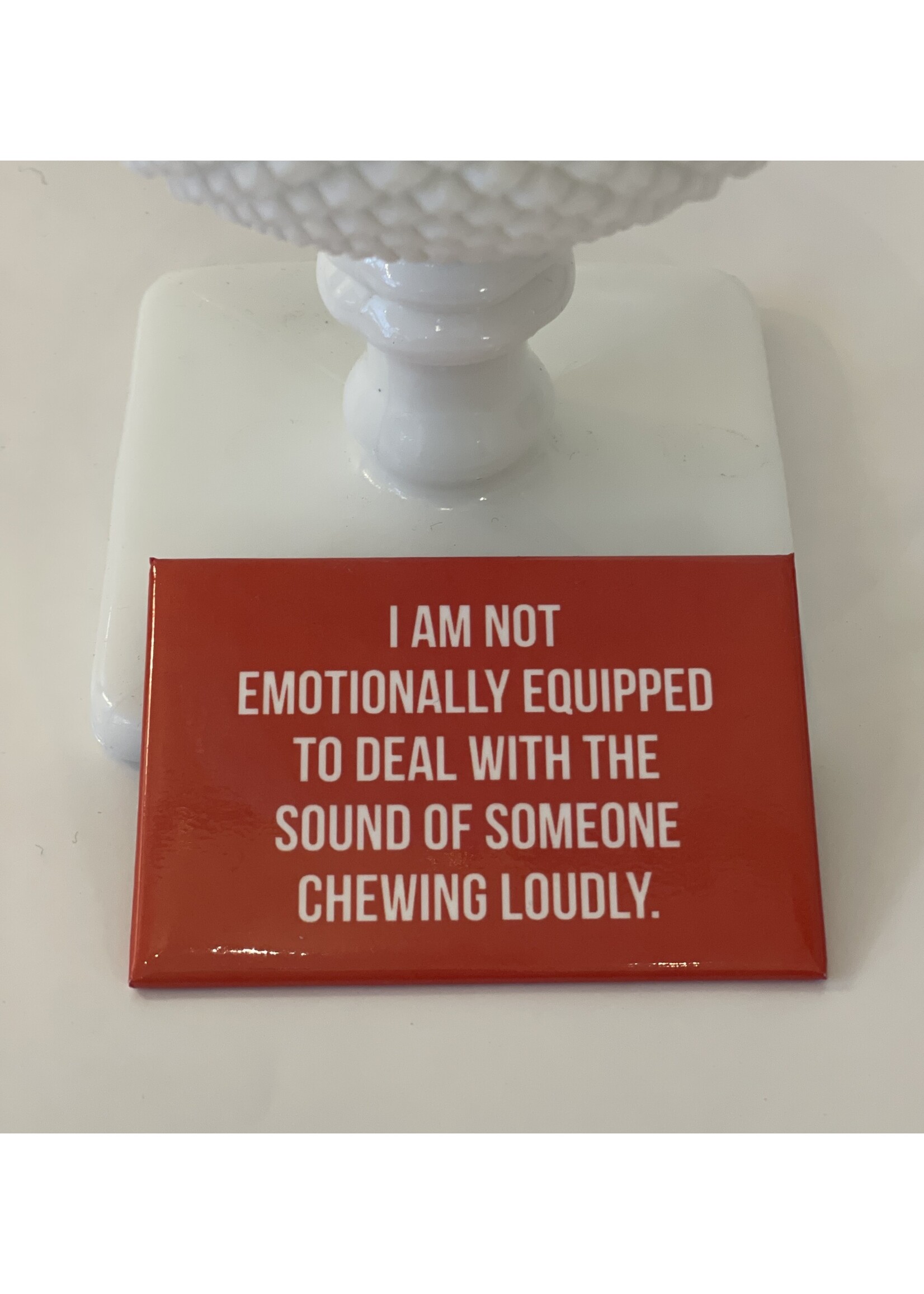 Mincing Mockingbird Chewing Loudly magnet
