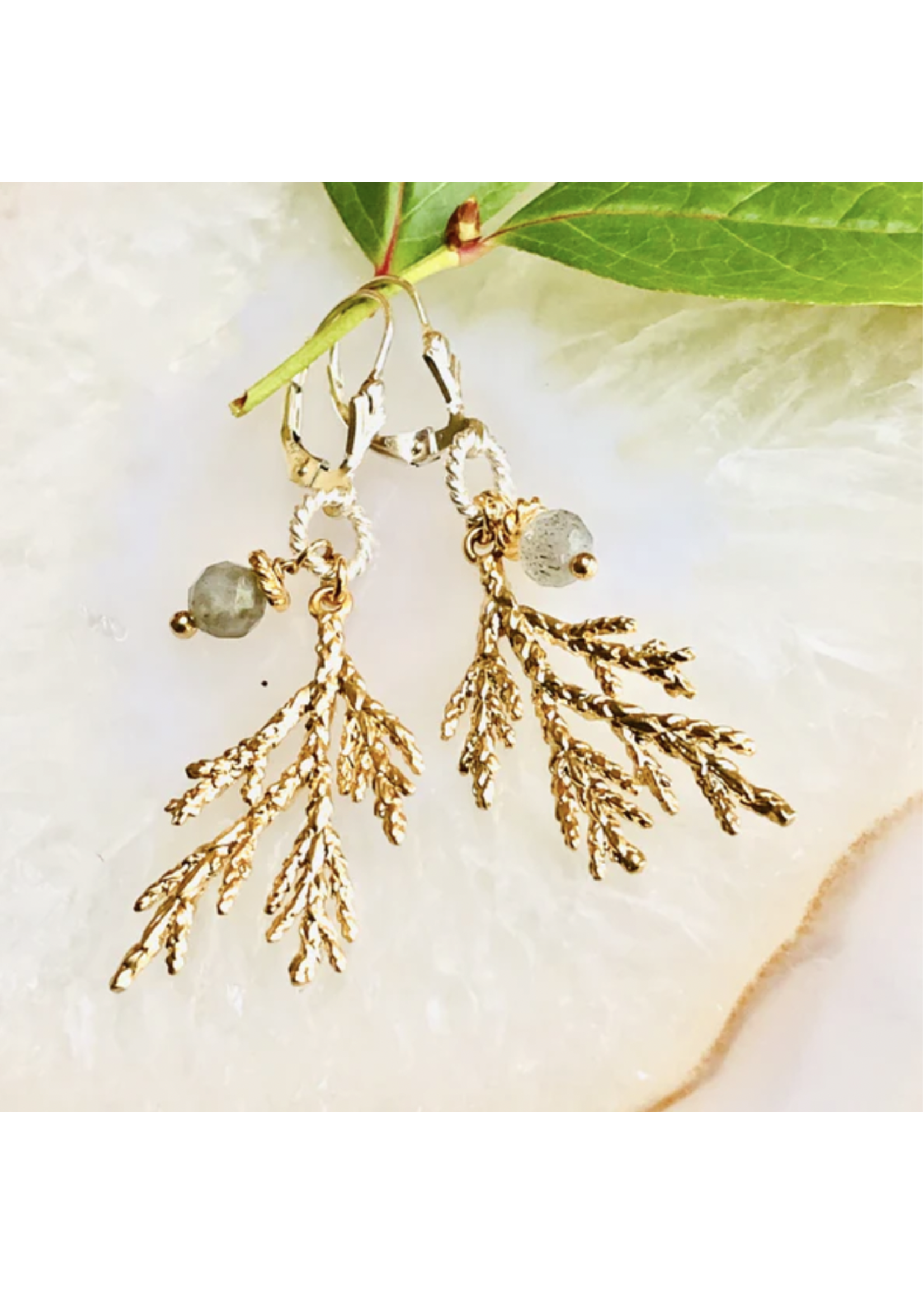 Howling Dog Artisan Jewellery Howling Dog Juniper Branch Earrings Gold