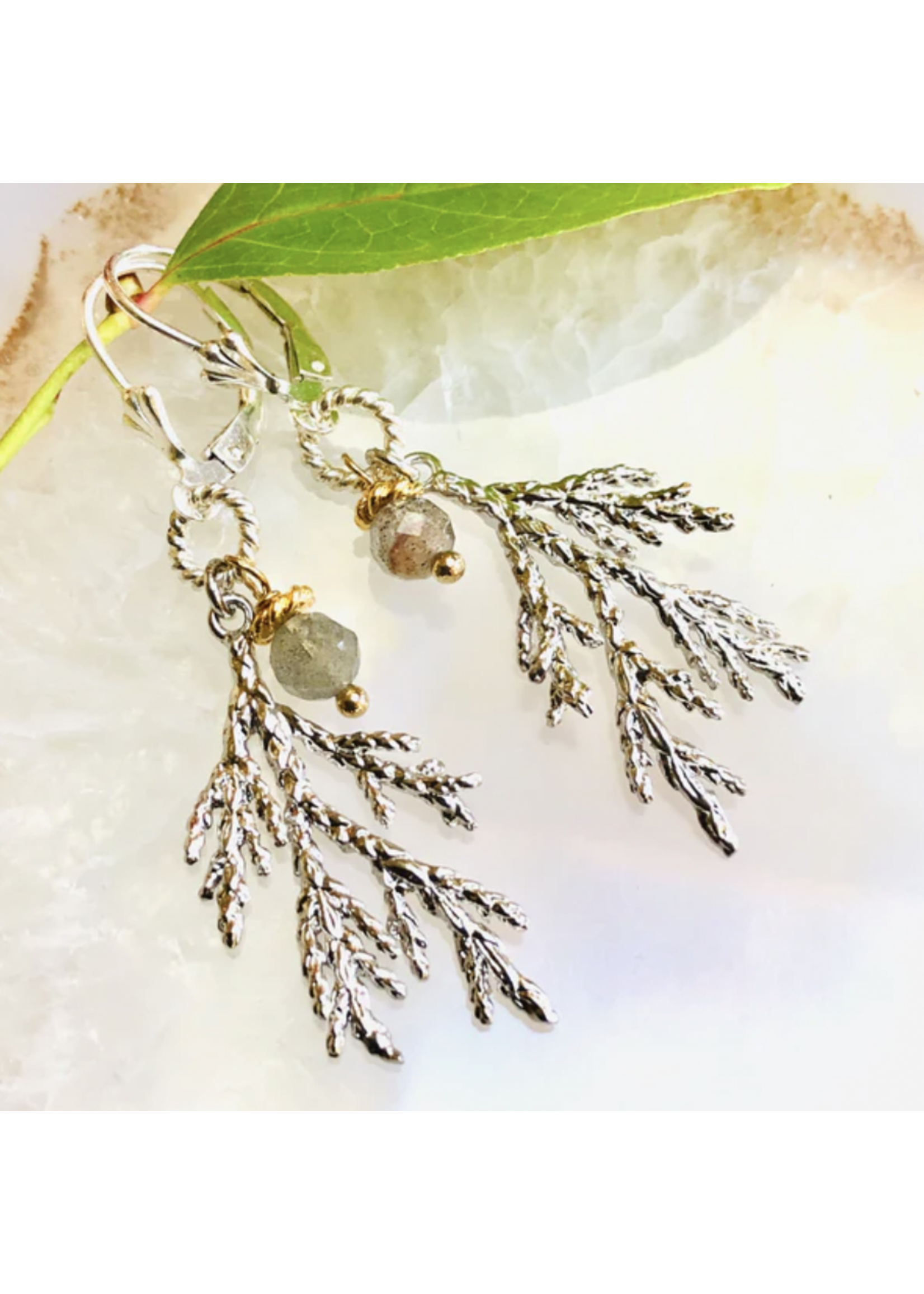 Howling Dog Artisan Jewellery Howling Dog Juniper Branch Earrings - Silver