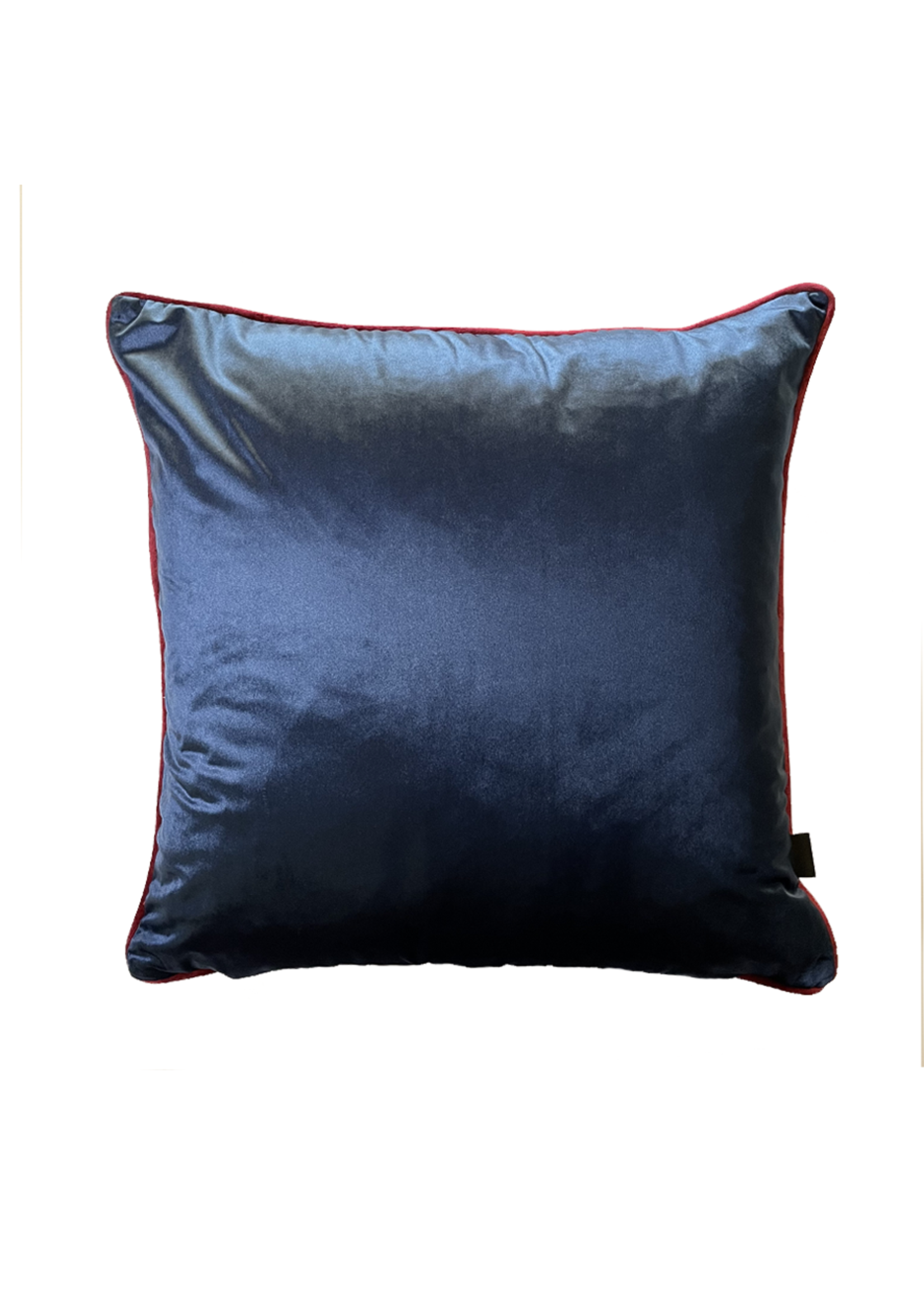 Jana Aspeling Jana Aspeling  Luxe Pillow: #23 Full Bloom