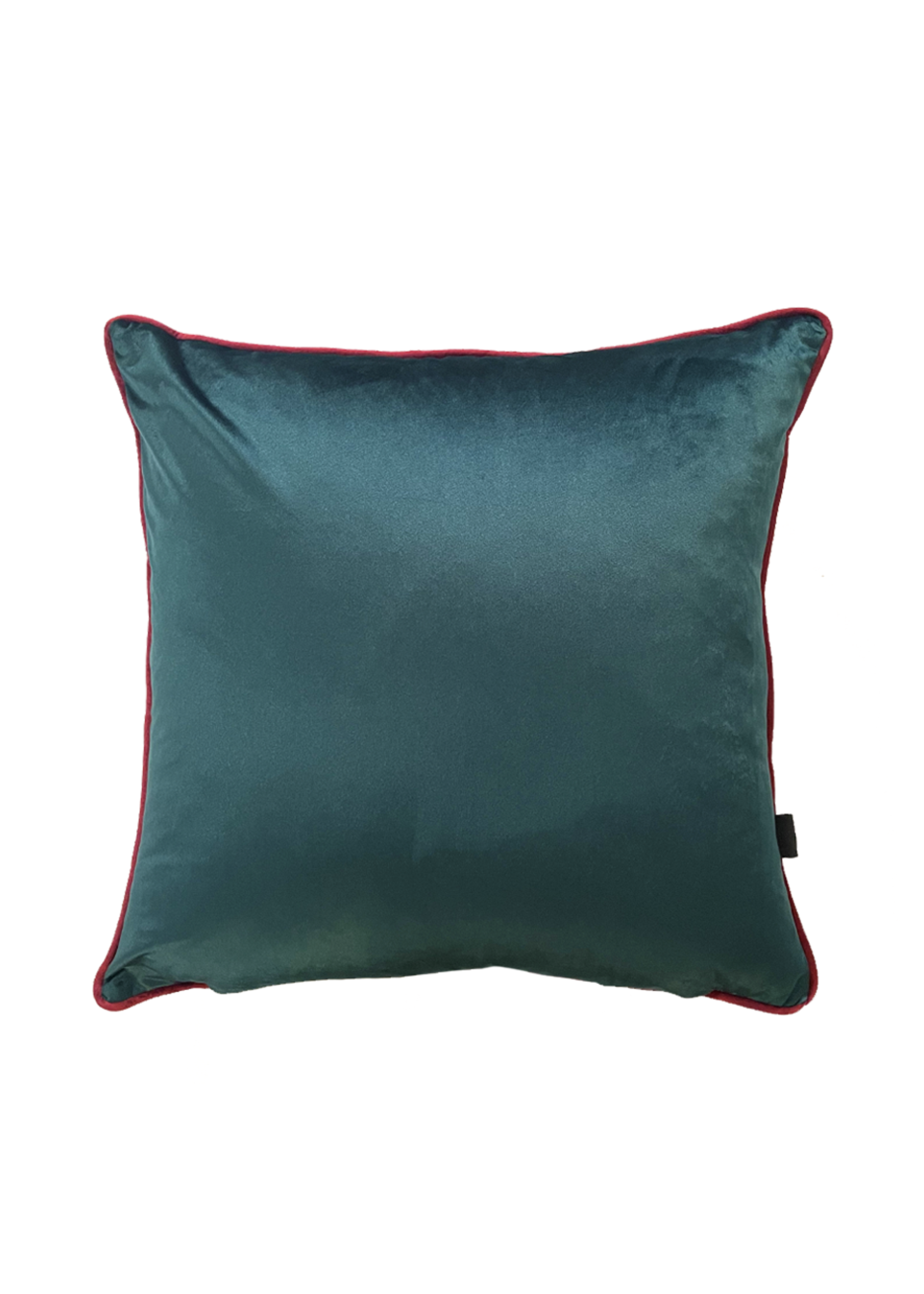 Jana Aspeling Jana Aspeling  Luxe Pillow - #14 Where Dreams Begin 2