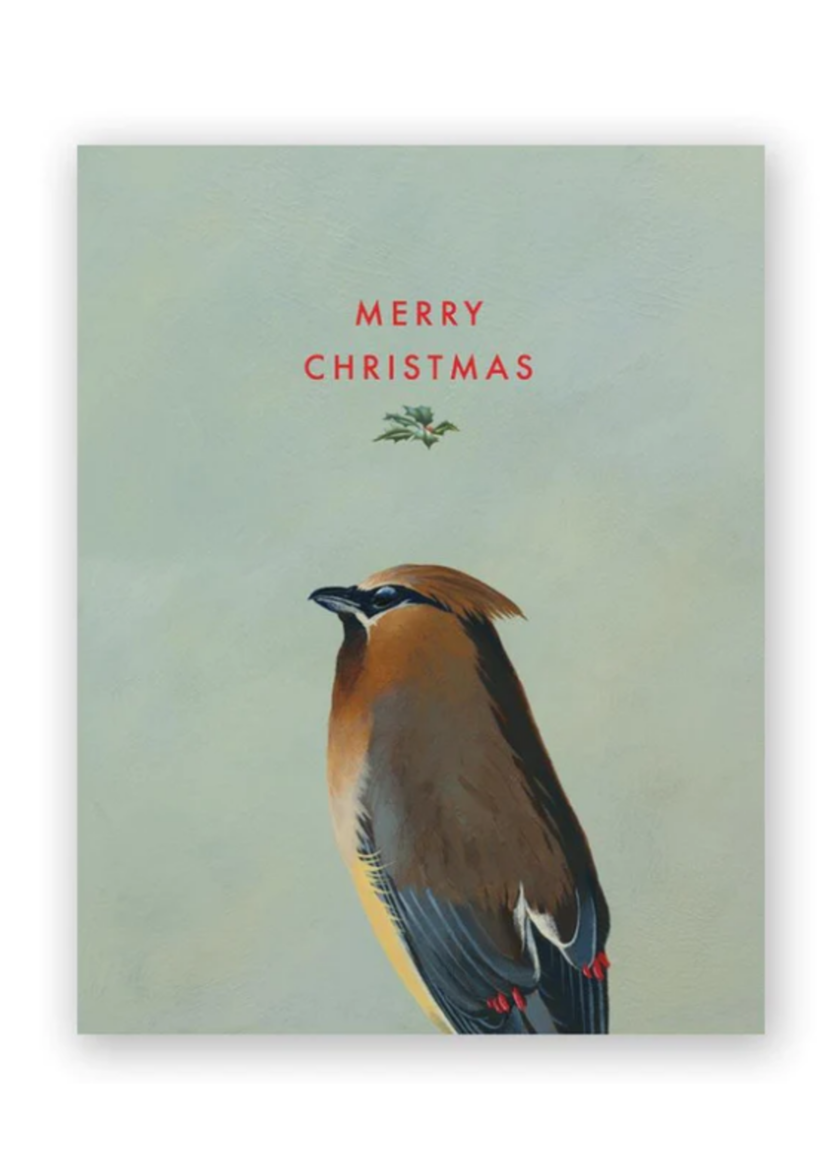 Mincing Mockingbird Cedar Waxwing Merry Christmas boxed card set of 8