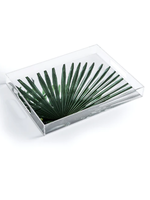 Deny Designs Palm Leaves Acrylic Tray