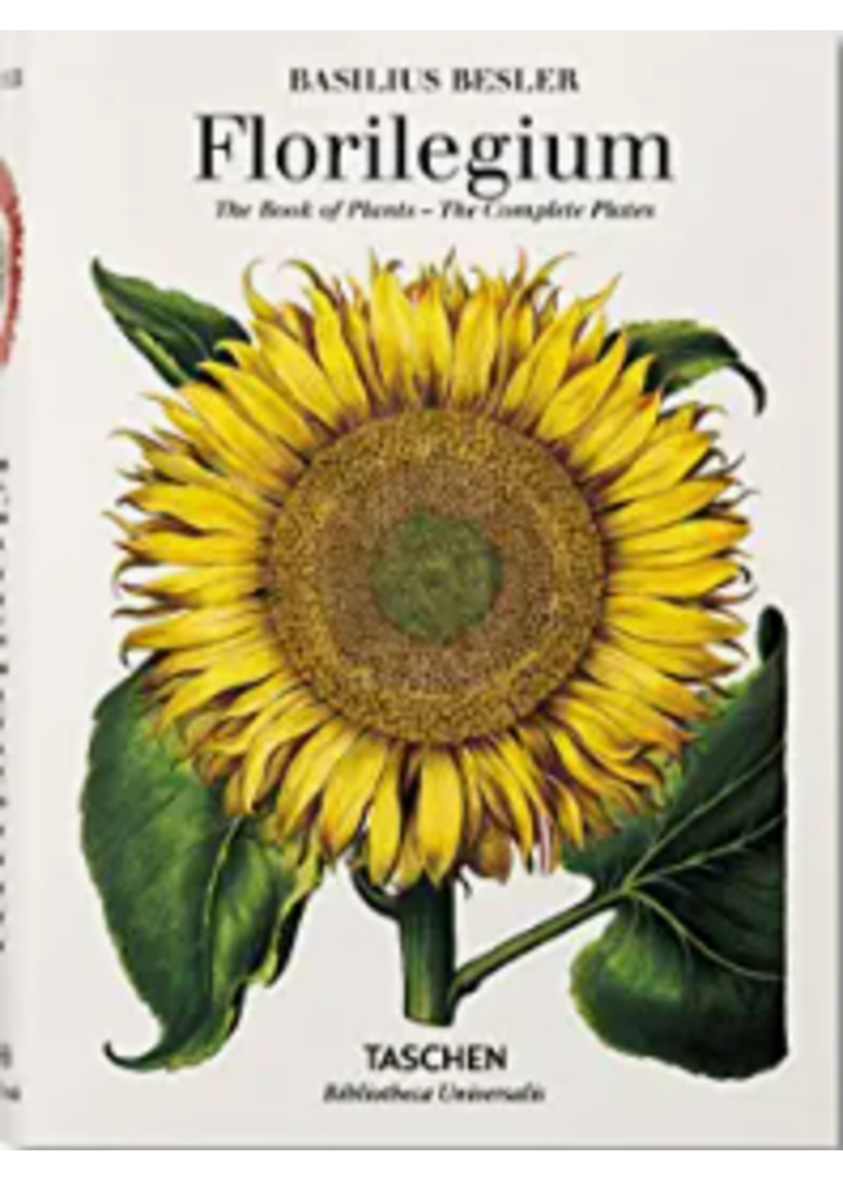 Taschen Books The Florilegium - Basilius Besler