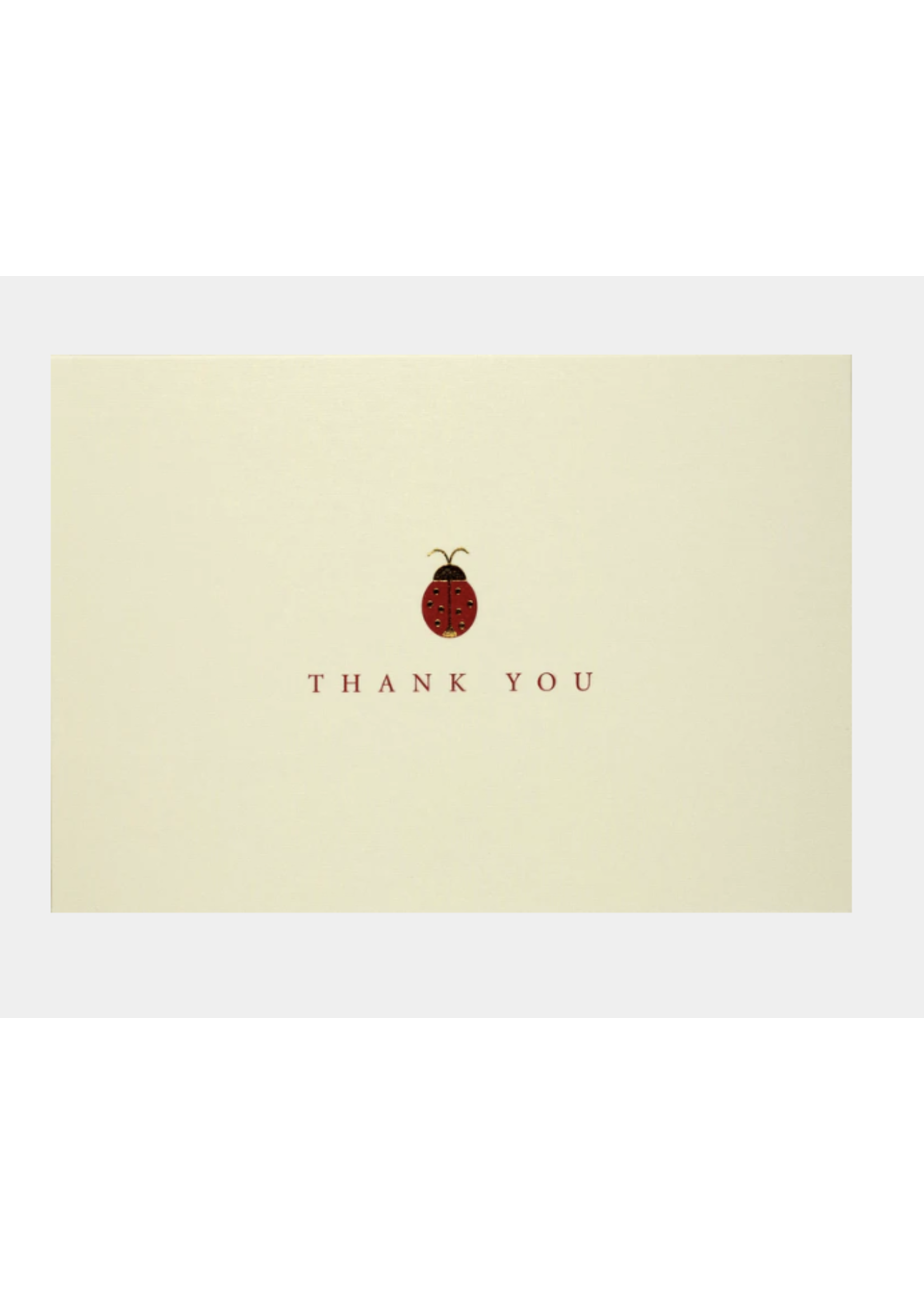 Peter Pauper Press Boxed Thank you cards - Ladybug