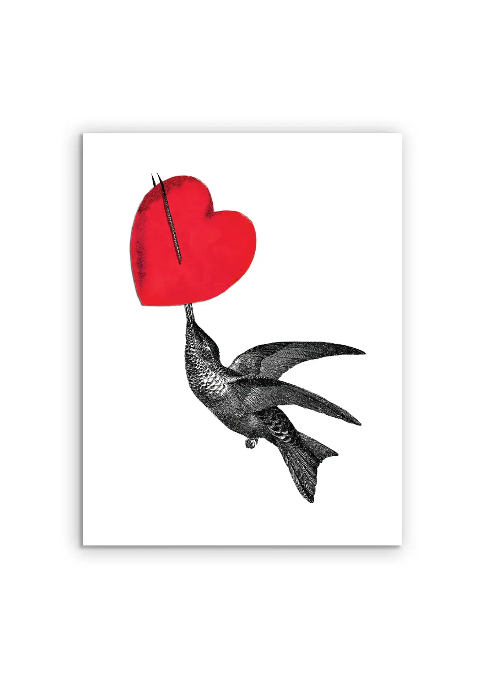 Classy Cards Creative Inc Hummingbird Heart Card