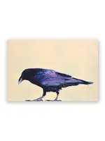 Mincing Mockingbird Raven Postcard