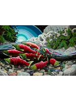 Coastal Lifeblood - Limited Signed Giclee 30" x 45"  - Christian Geissler