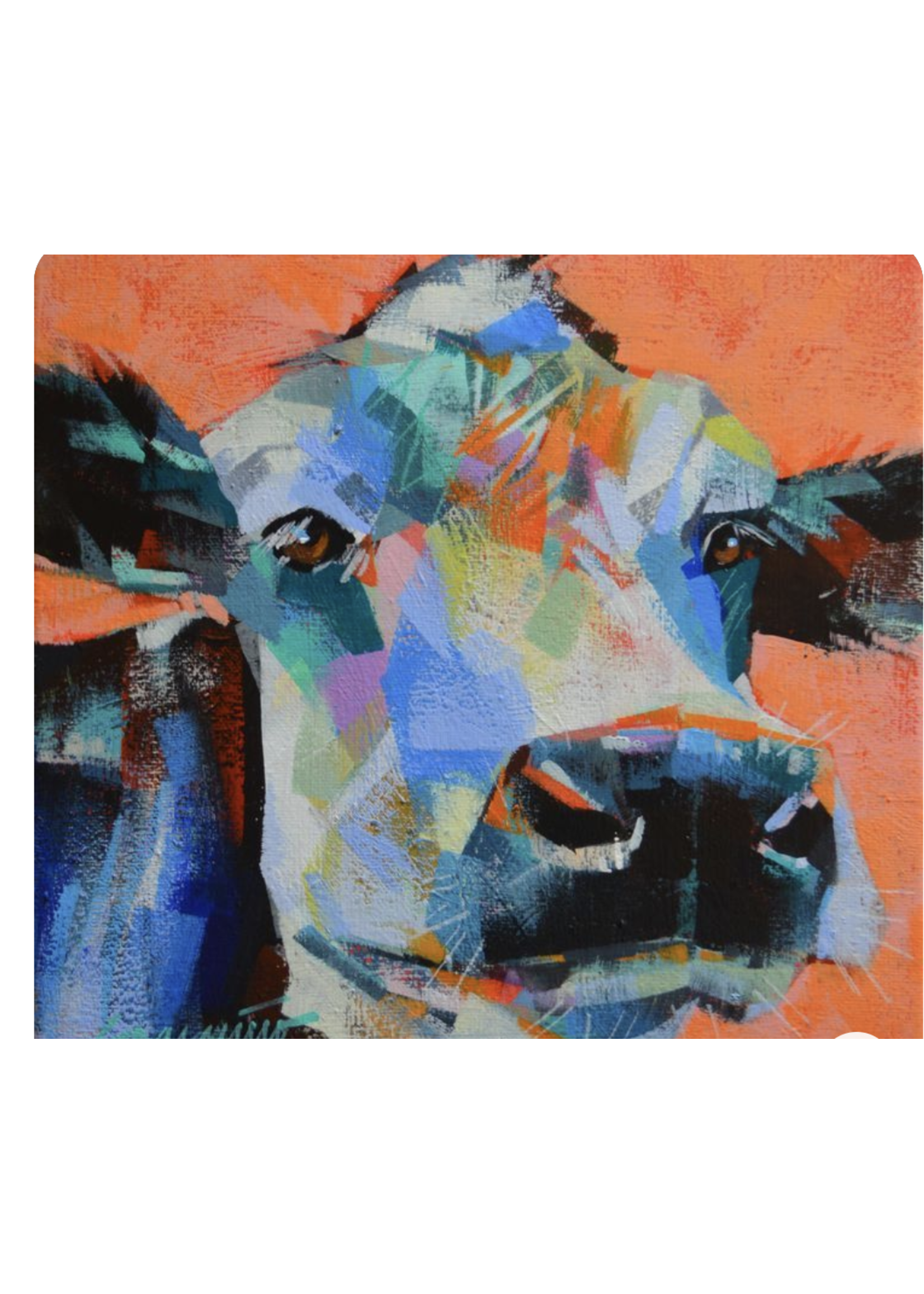 Holstein - Jennifer Sparacino