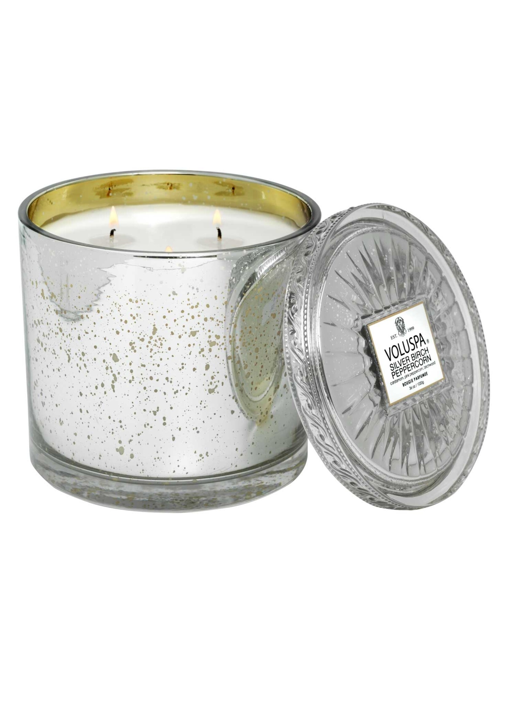Voluspa Silver Birch Grande Hearth Candle