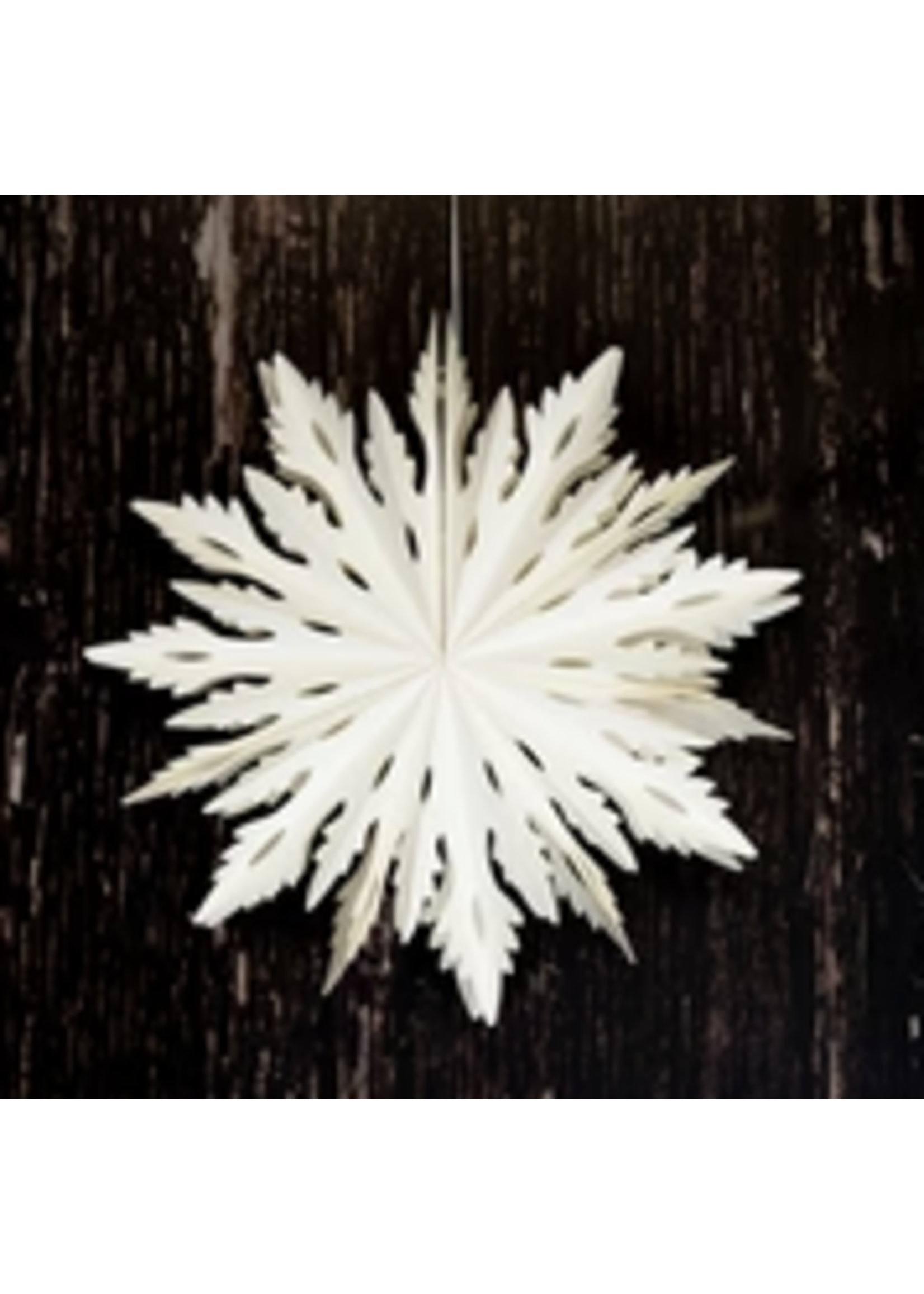 Bollywood Vela White Paper Snowflake Wall Decoration 30cm