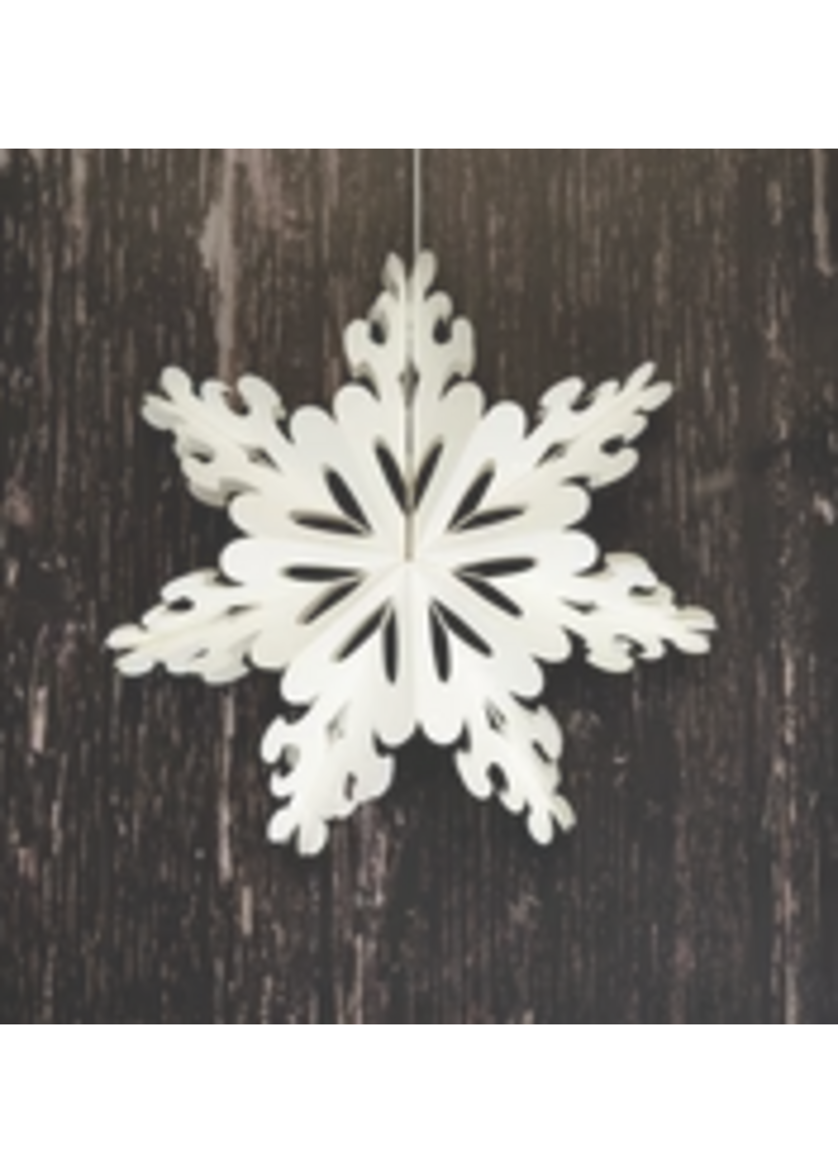 Bollywood Pictor White Paper Snowflake - 23cm