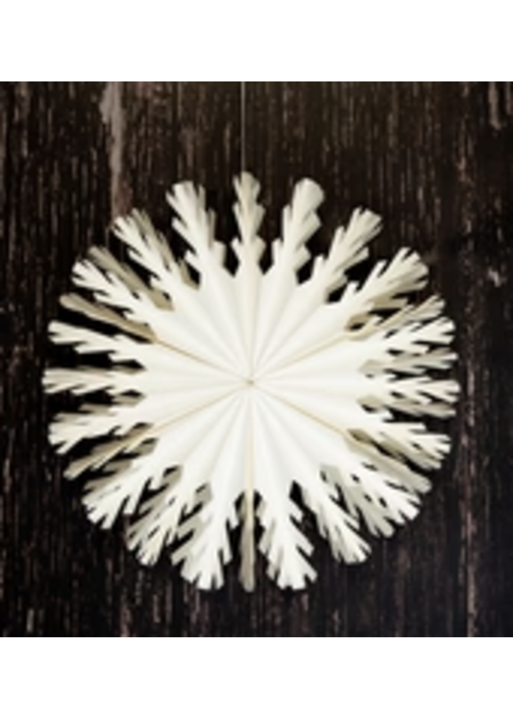 Bollywood Lynx White Snowflake Wall Decoration 28cm