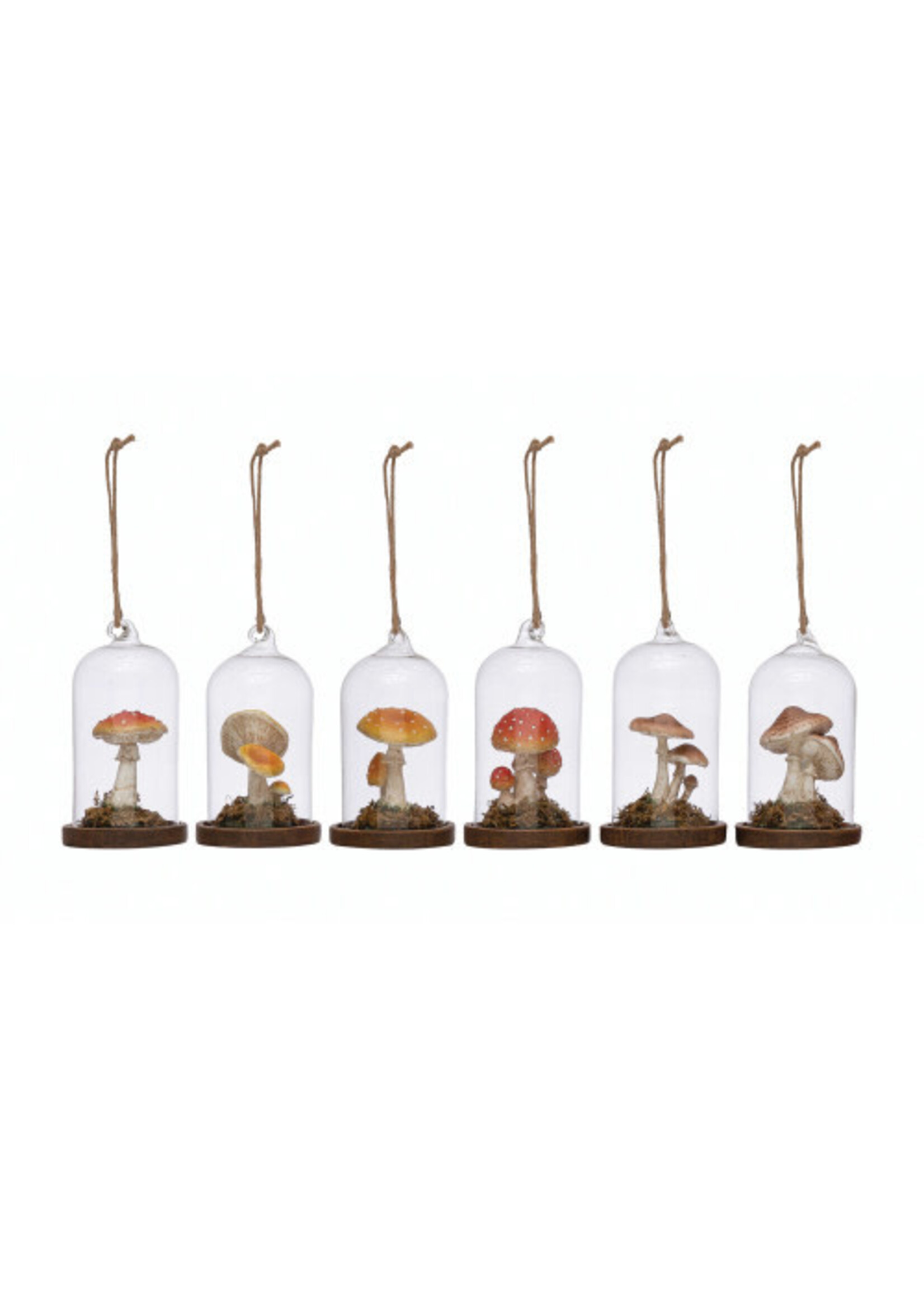 Creative Co-Op Resin Mushroom in Glass Cloche Ornament 4.5H  (Sold individually)