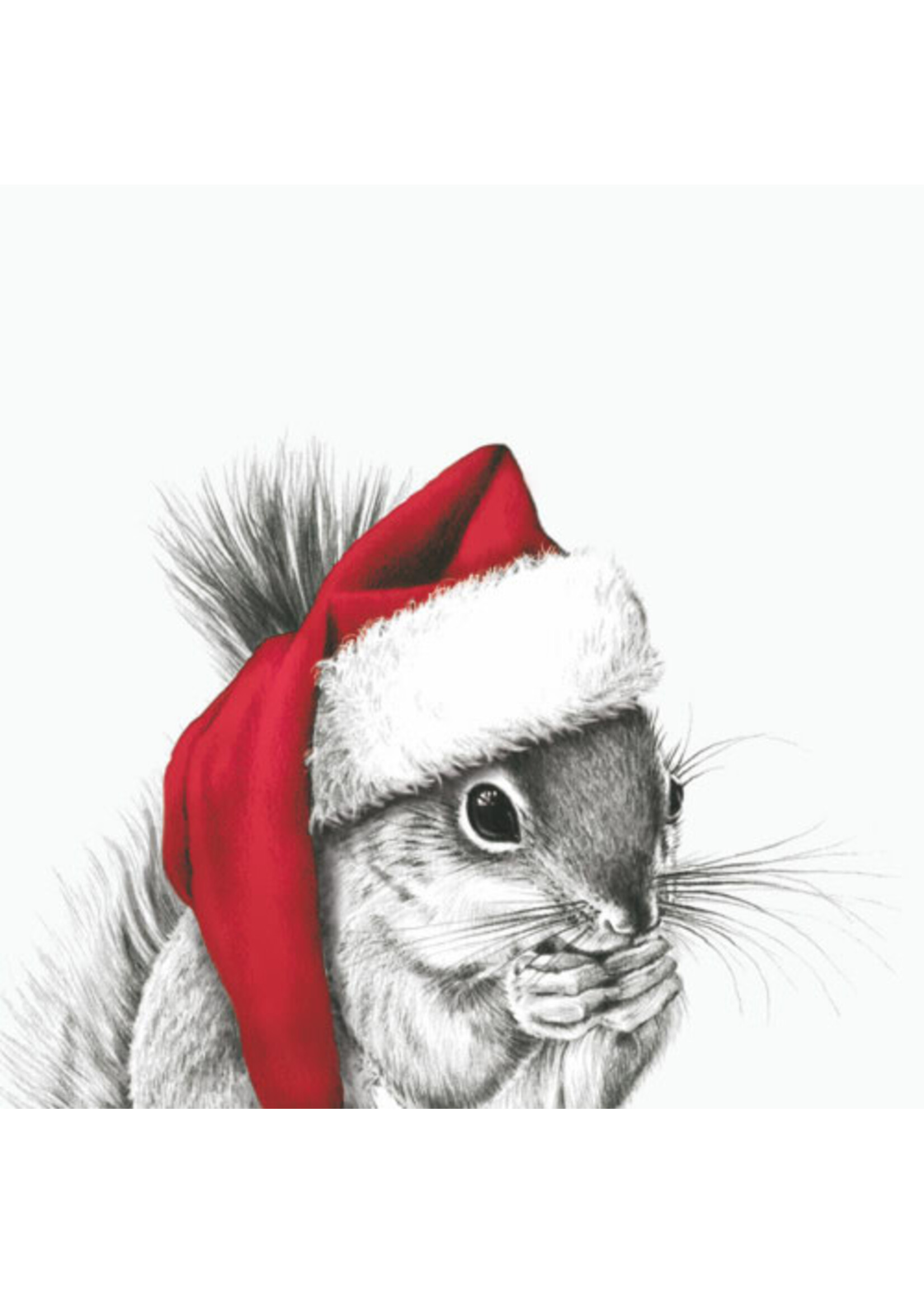 Paper Products Design Beverage/Cocktail Napkin - Ralf Red Hat