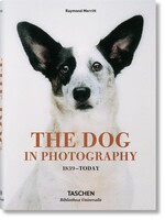 Ingram International Dog in Photography 1839-Today