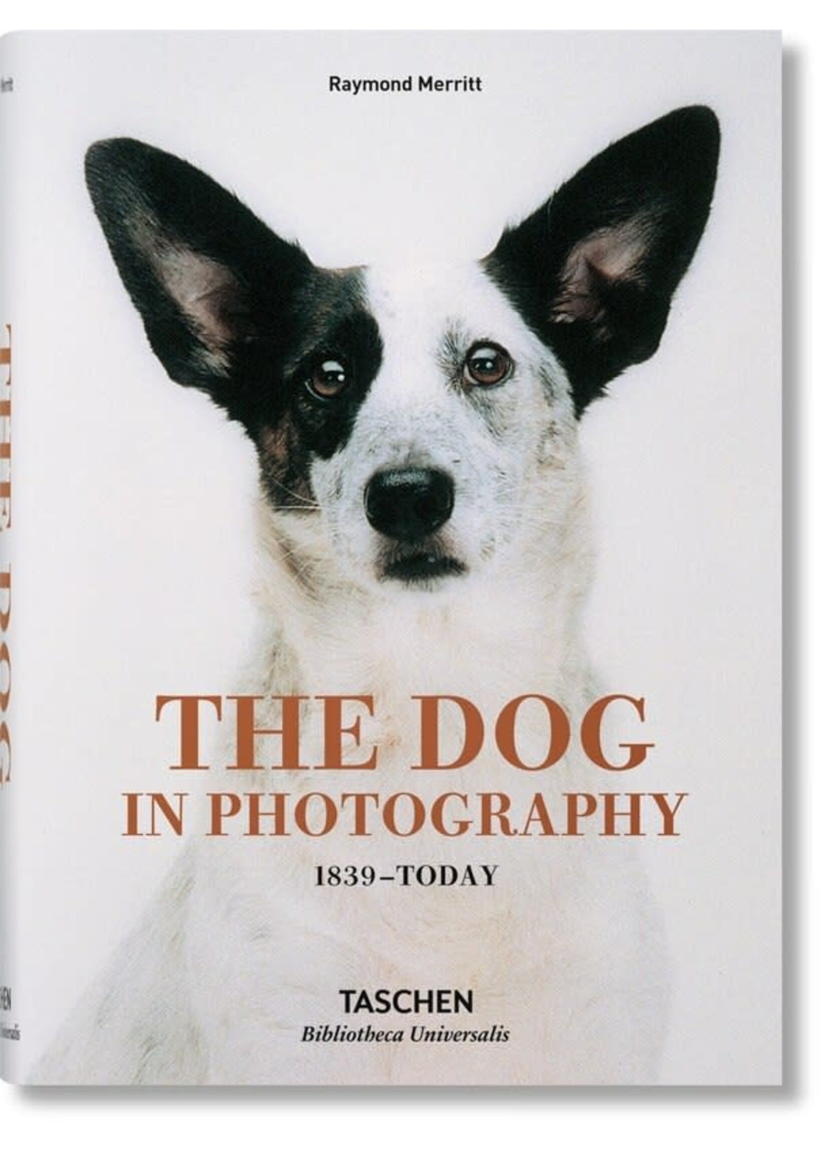 Ingram International Dog in Photography 1839-Today