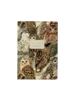 Bruno Visconti Owls Notebook
