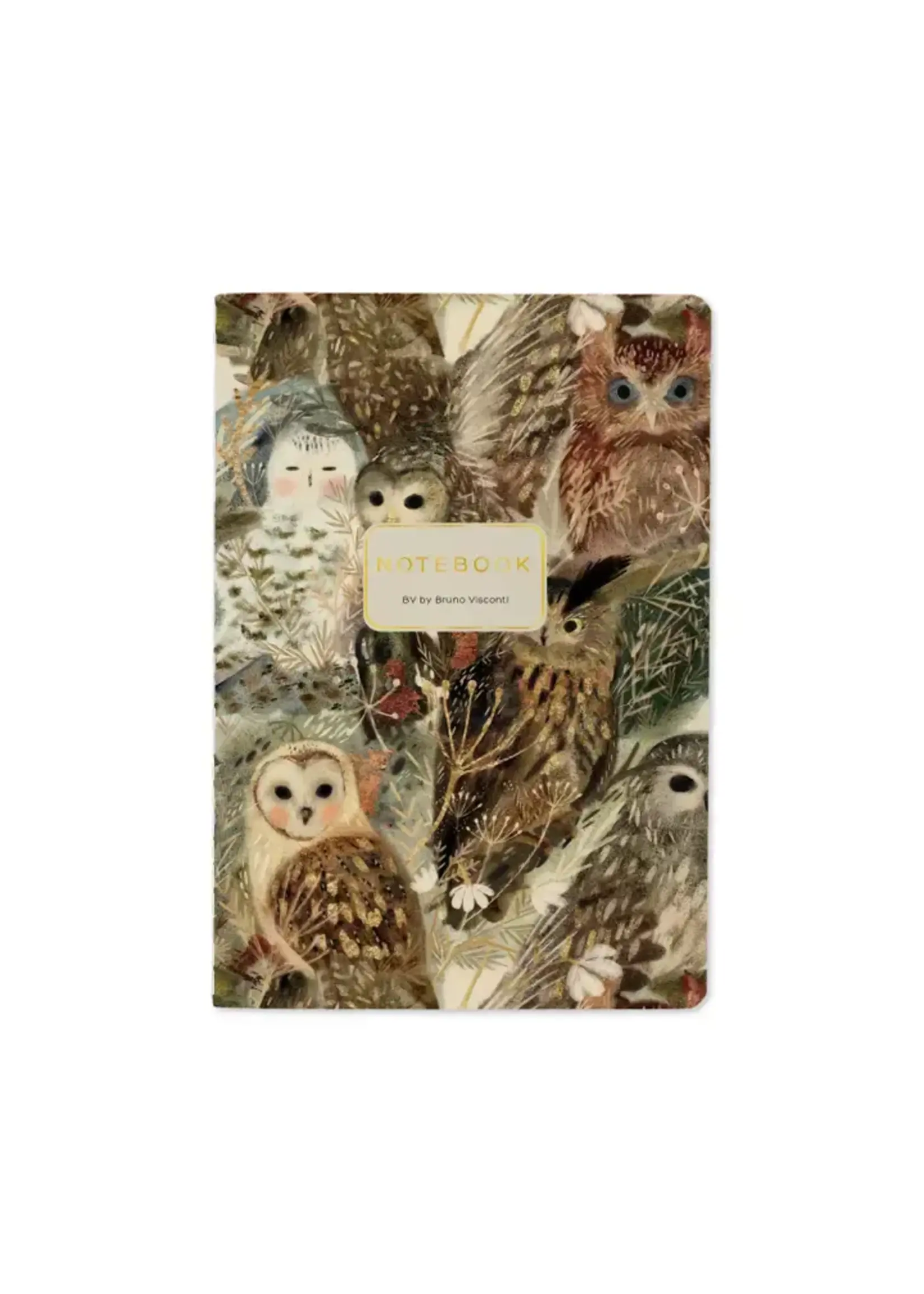 Bruno Visconti Owls Notebook