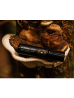 Hollow Tree Cathedral Grove Perfume Oil - Hollow Tree