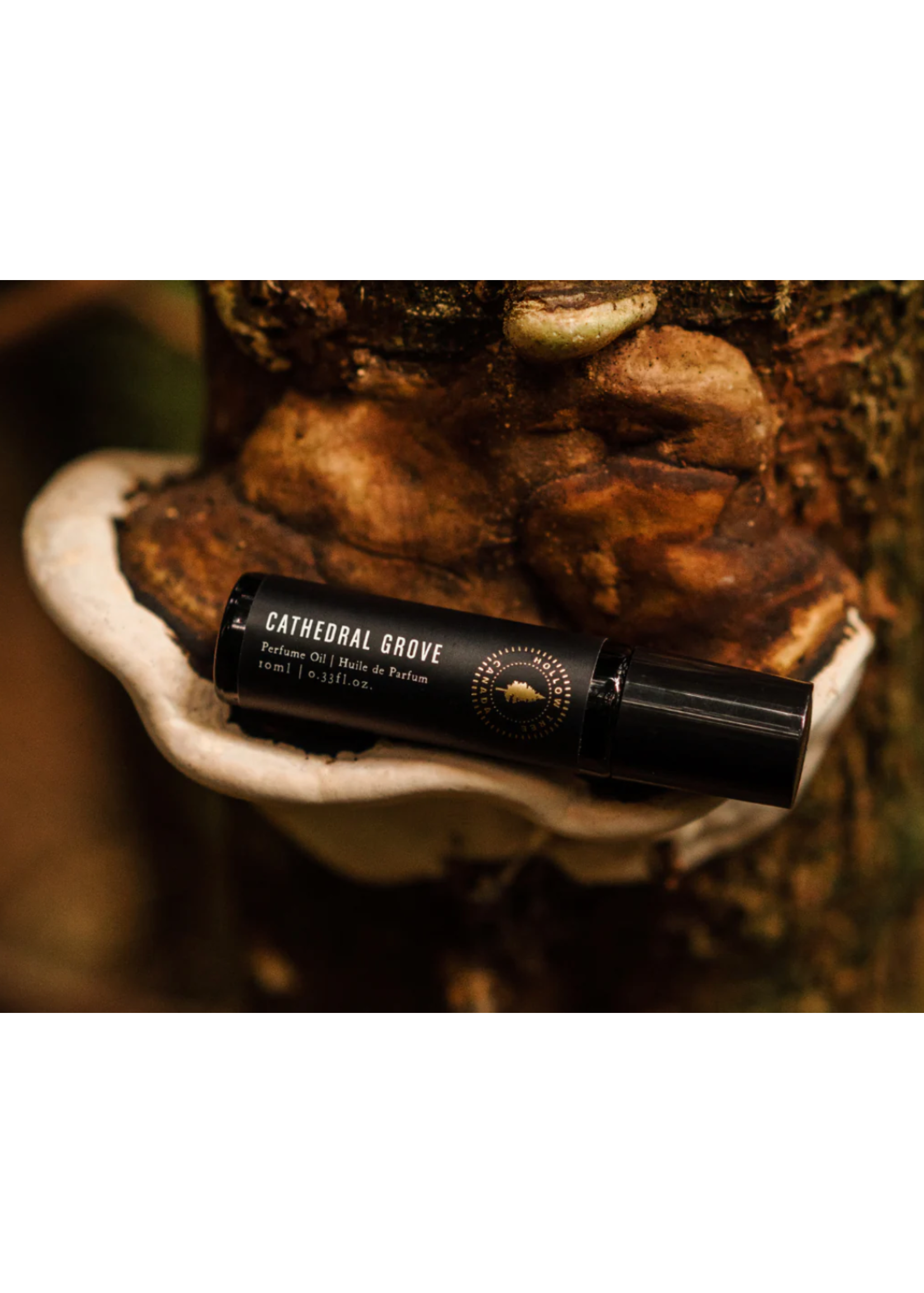 Hollow Tree Cathedral Grove Perfume Oil - Hollow Tree