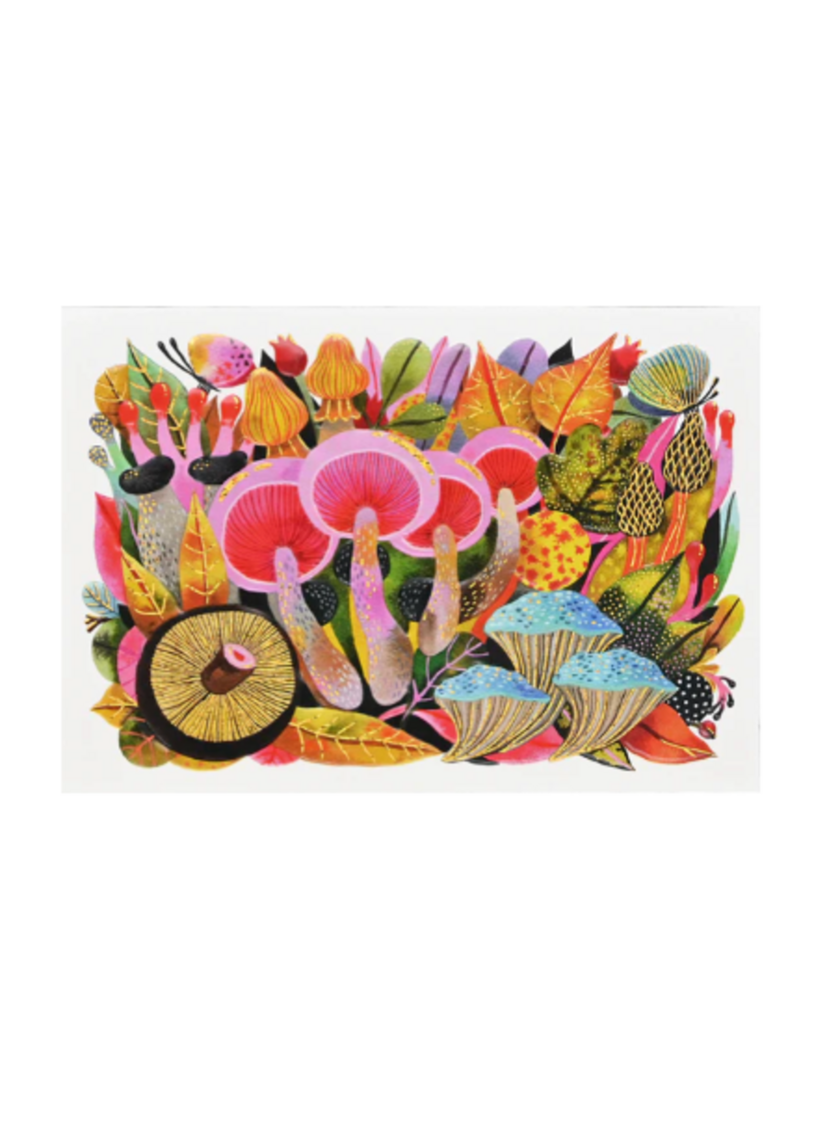 Boxed Note Cards - Mushroom Medley