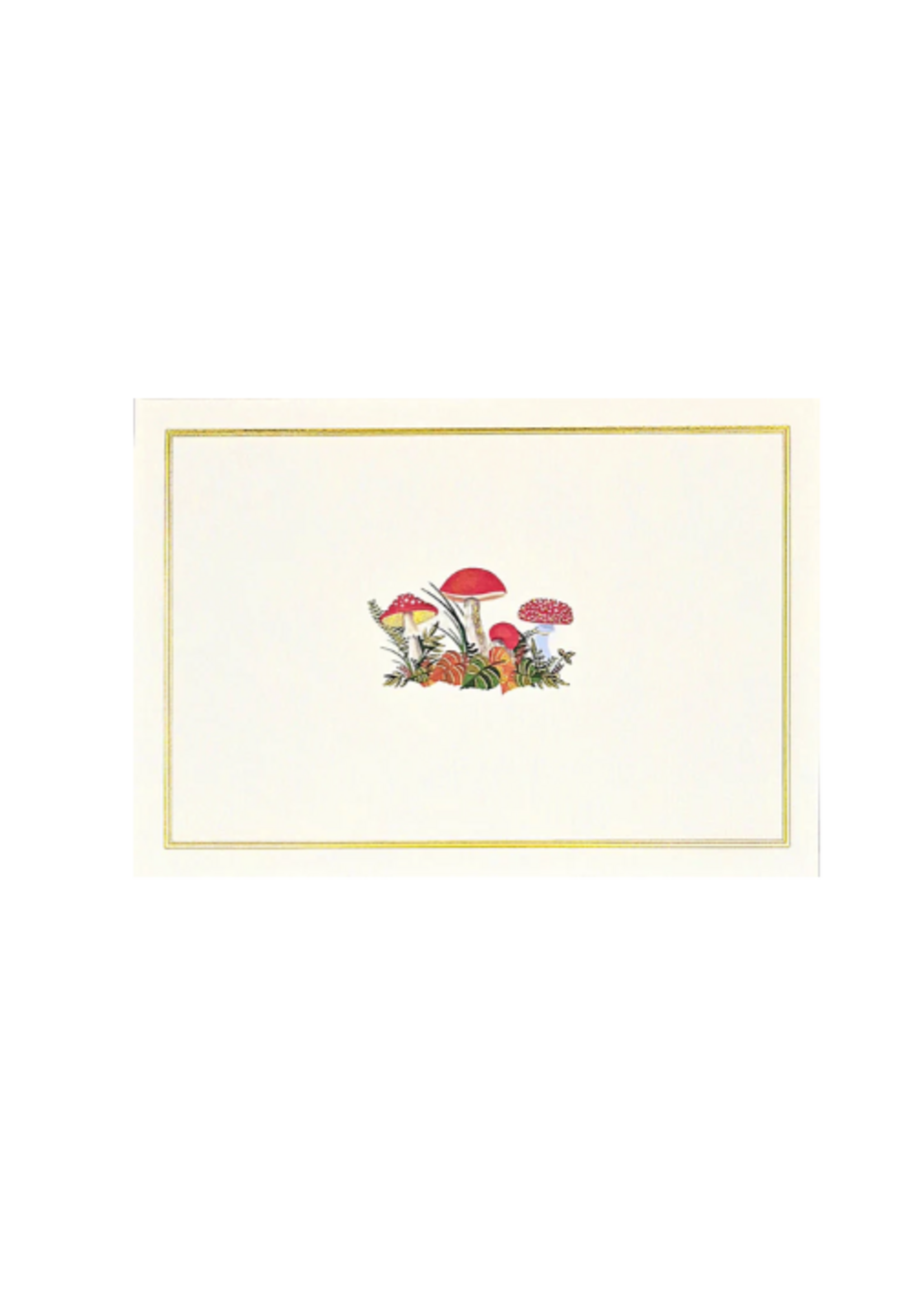 Boxed Note Cards - Mushroom Forest