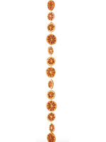 Razz Imports Dried Orange Slice Garland