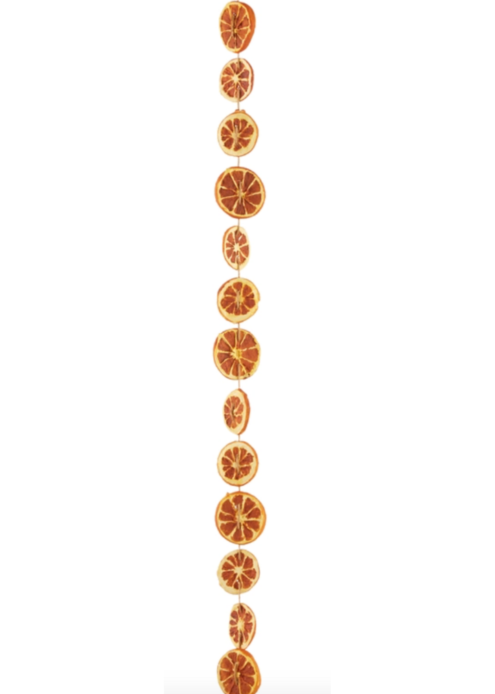 Razz Imports Dried Orange Slice Garland