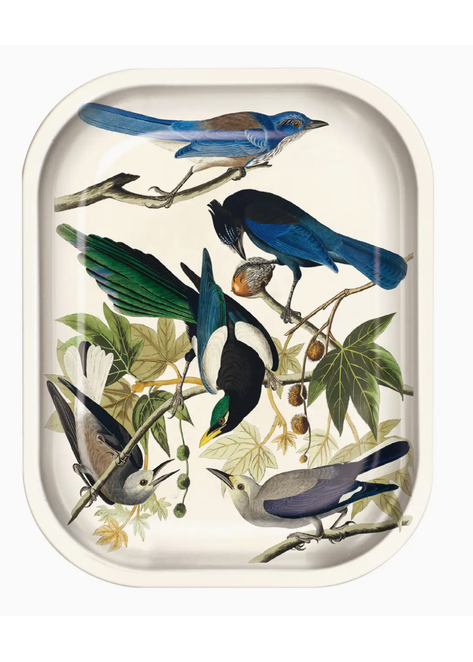 Curious Prints Curious Prints Small Tray - Vintage Audubon Tray