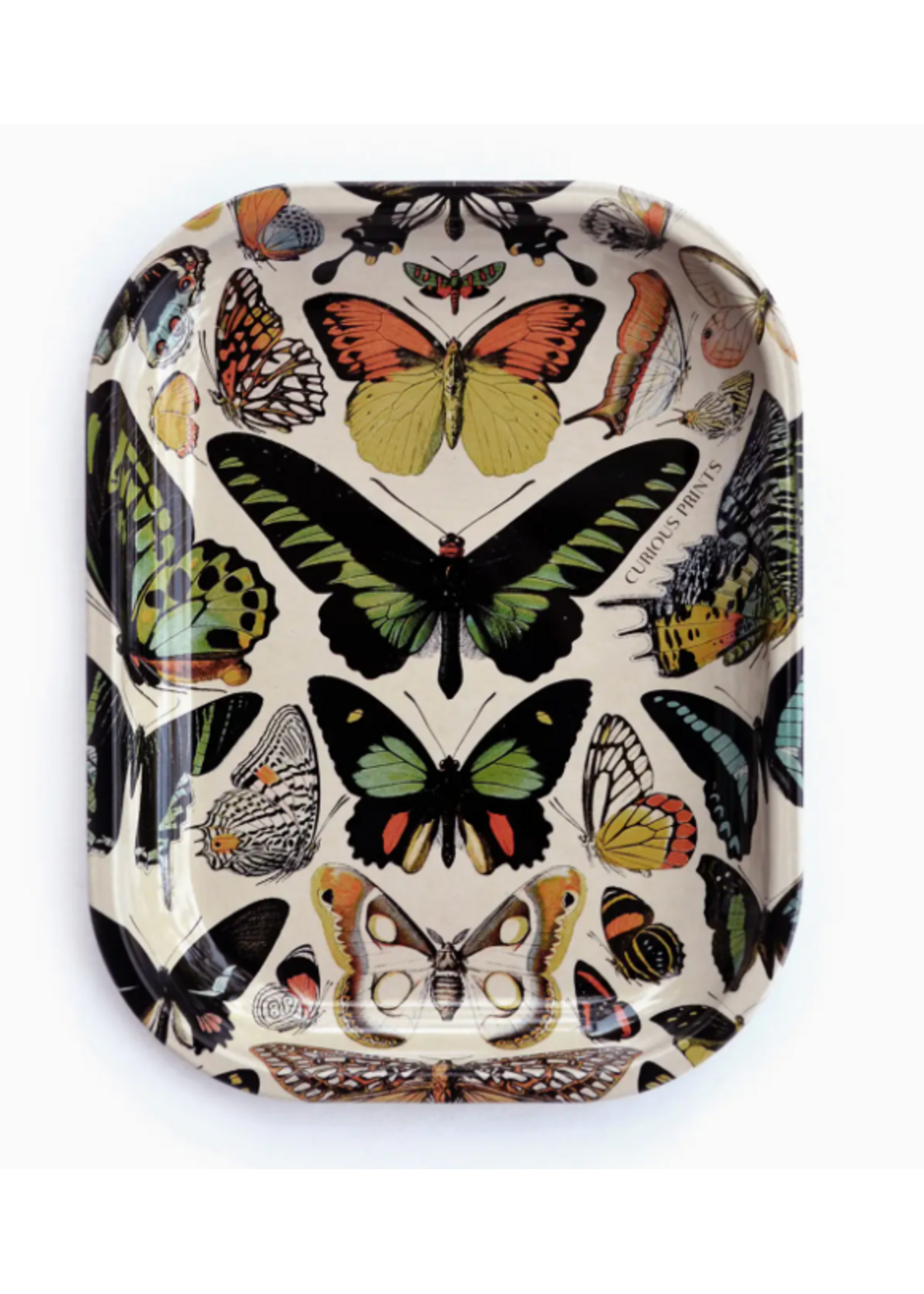 Curious Prints Curious Prints Small Tray - Vintage Butterflies
