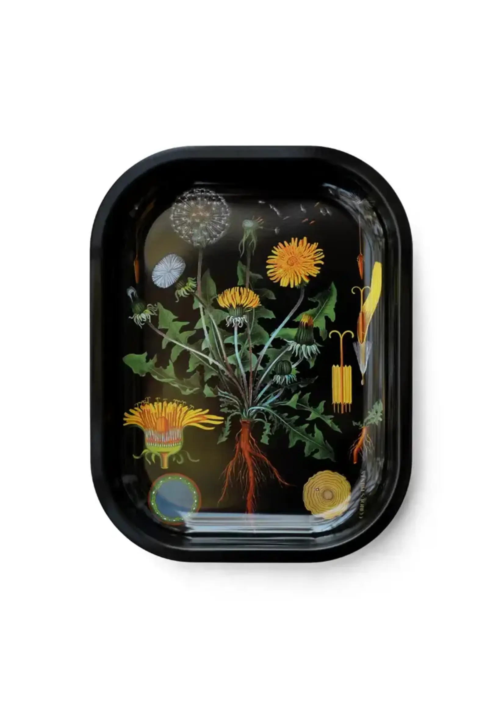 Curious Prints Curious Prints Small Tray - Botanical Dandelions