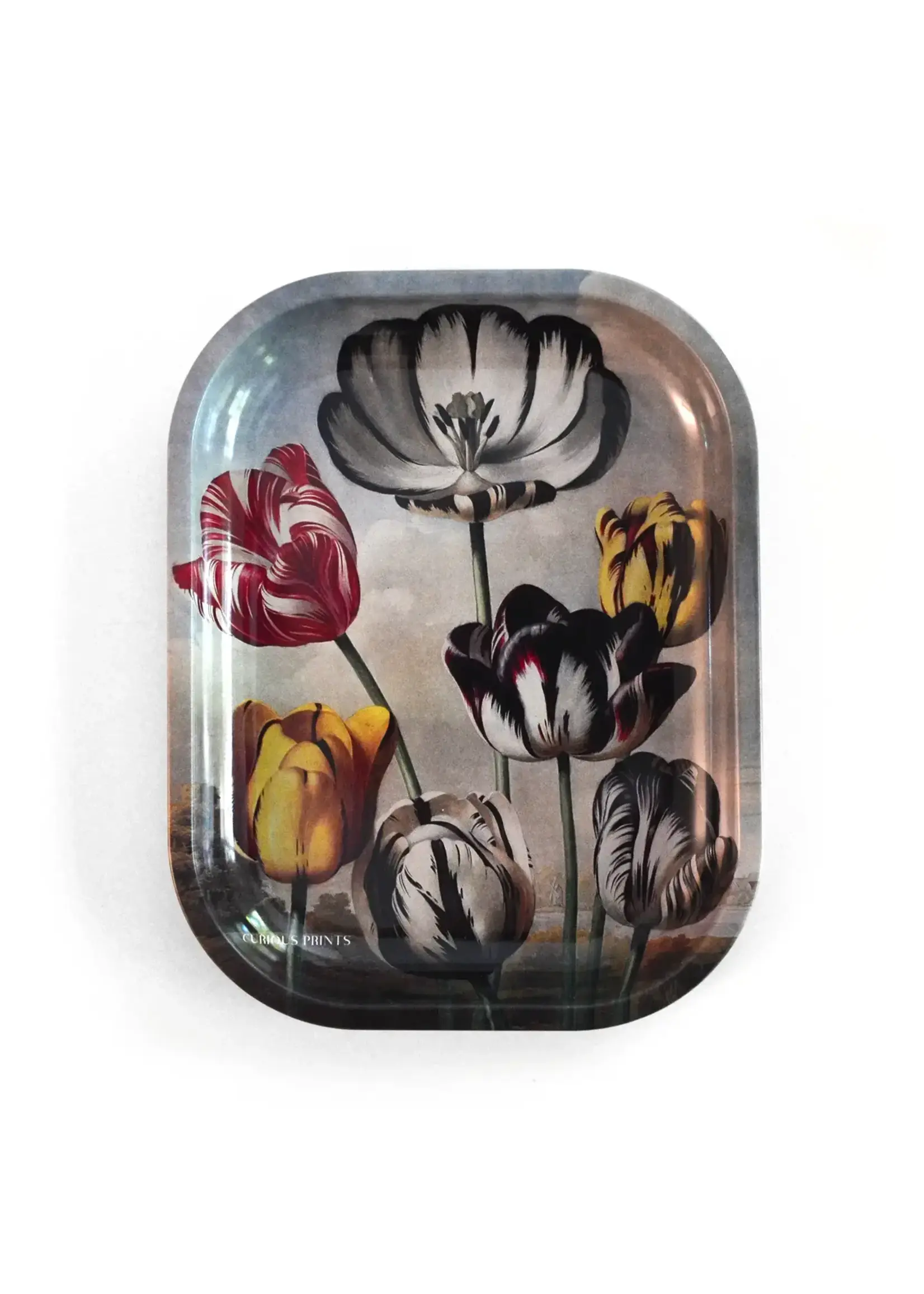 Curious Prints Curious Prints Small Tray - Tulips