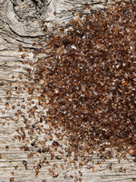 Olive Us Eldorado Mesquite - Smoked Sea Salt